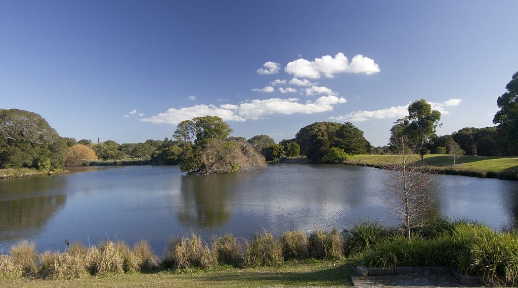 Nature & Outdoor Activities: Centennial Park