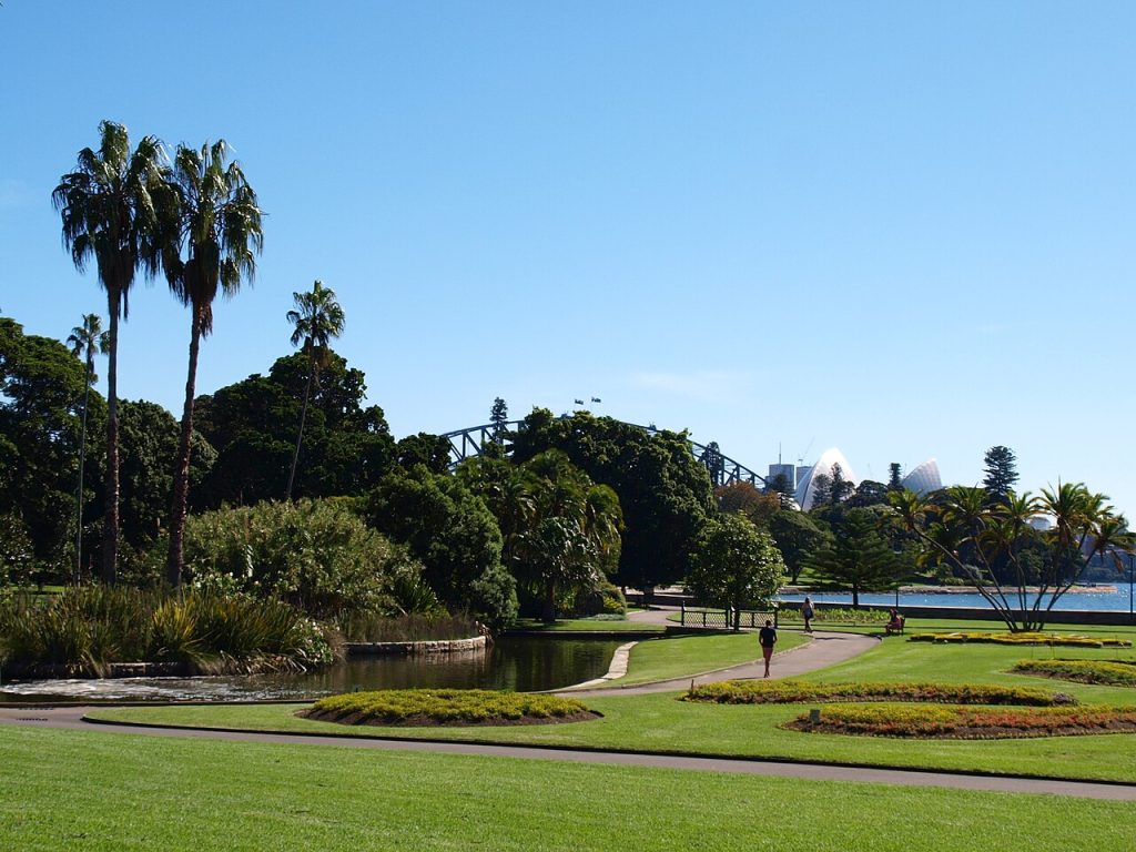 Sydney Royal Botanic Garden