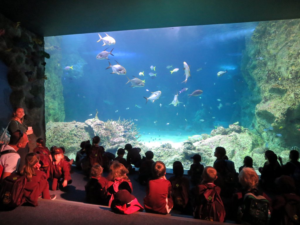 Family-Friendly Sydney: Sea Life Aquarium